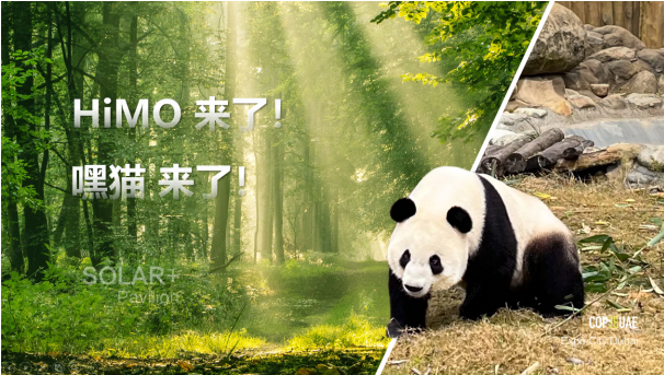 “绿电”+“绿氢”助力全球净零排放(图4)