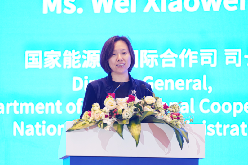 绿数融合“碳”索未来!新能源国际投资联盟金融与前沿技术论坛成功举办(图3)