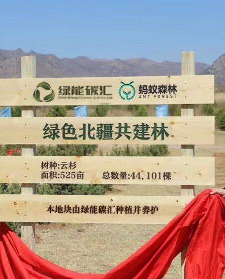九游体育：绿能碳汇携手国际伙伴共创全球绿色能源未来(图1)