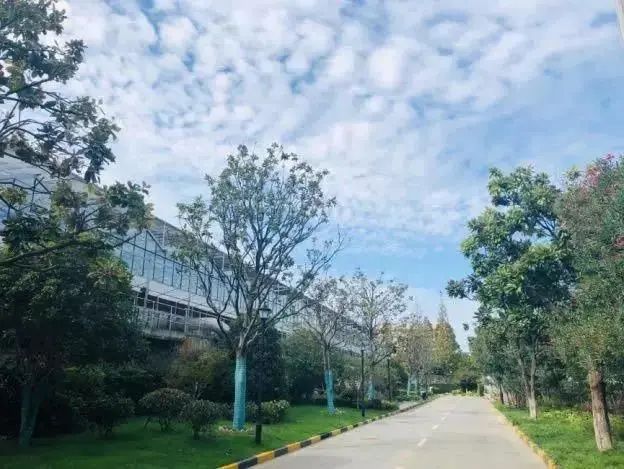 九游体育：宝山这些环保设施单位免费对外开放预约看这里→(图8)