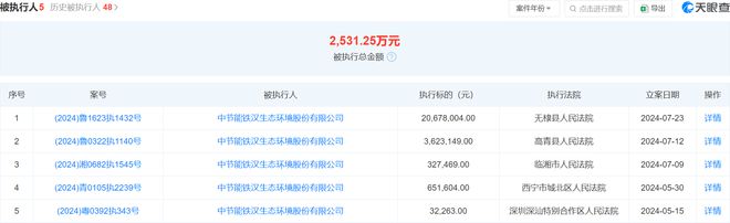 节能铁汉被执行206780040元今年以来已被执行多次涉及山东湖南青海等地(图1)