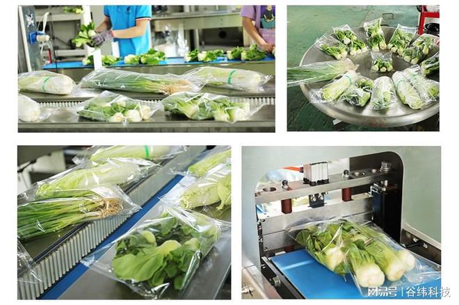 探索农副产品深加工设备：驱动农业增值的关键技术(图3)