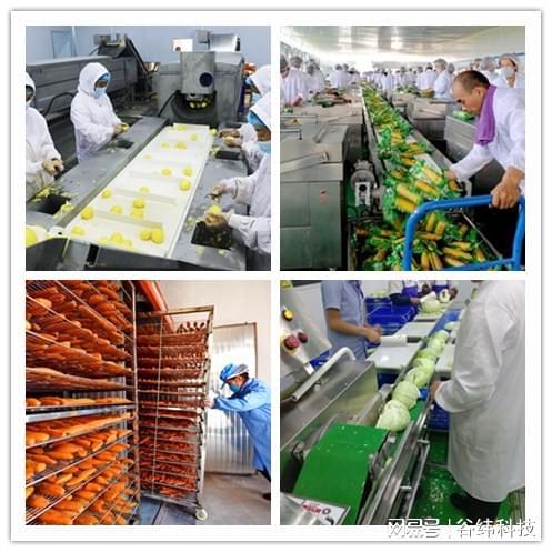 探索农副产品深加工设备：驱动农业增值的关键技术(图1)