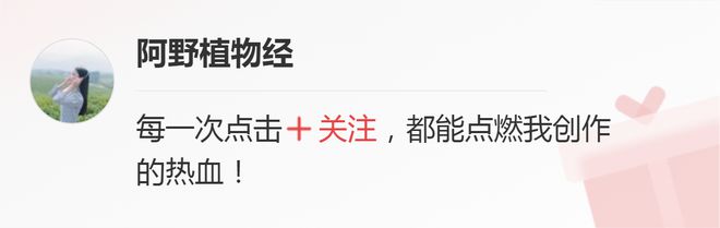 绿色产业包括哪些产业？有明确界定将告终结“泛绿化”现象(图10)