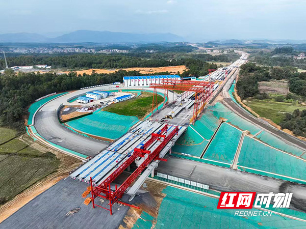 道县：聚力产业建设推动高质量发展(图2)