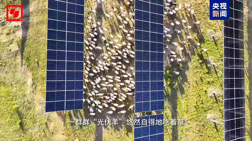 探秘青海塔拉滩光伏“蓝海”的“绿电”奇迹(图1)