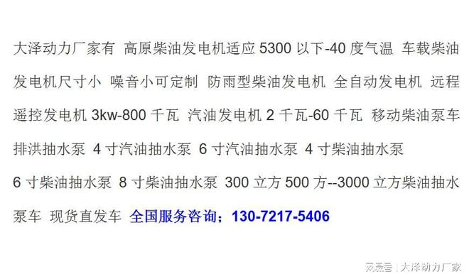 九游体育：大泽动力TOTO20kw汽油发电机(图2)