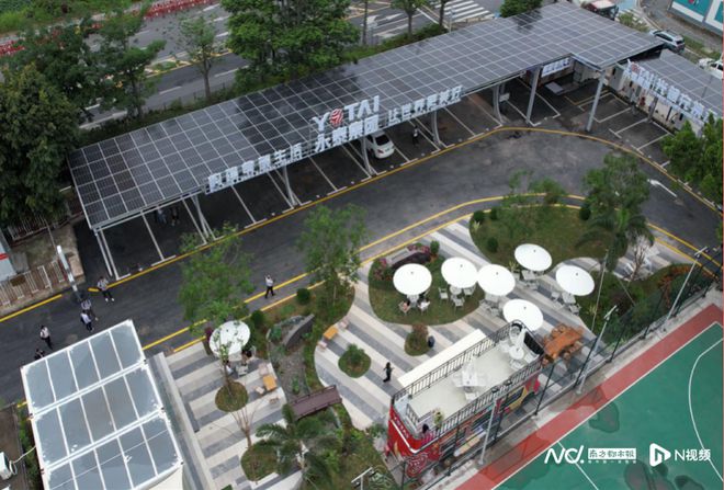 点赞！龙华区荣获2024碳达峰碳中和行动实践创优称号(图2)