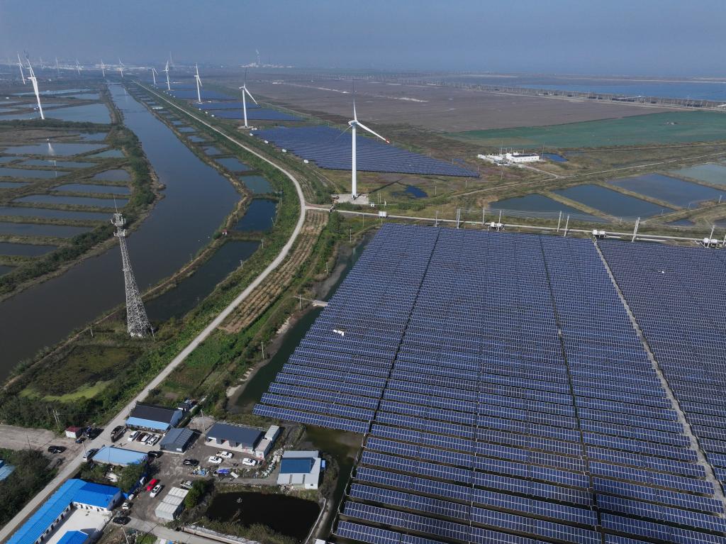 破浪前行风帆劲丨“绿”意盎然“新”意不断县域经济厚实我国经济“底盘”(图3)