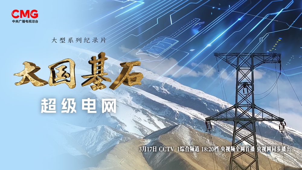 唯一全民通电国中国如何打造规模最大新型电网(图9)