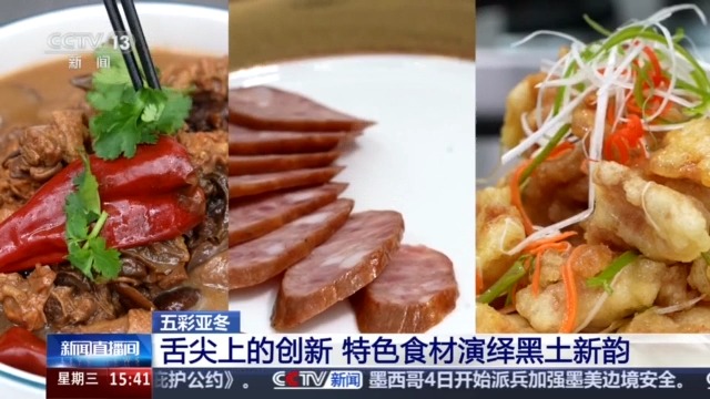 九游体育网站：黑土地、黑科技、黑色资源一起了解亚冬会里的黑色密码(图3)