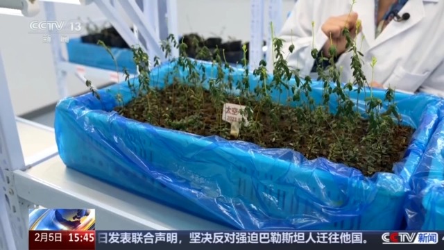 九游体育网站：黑土地、黑科技、黑色资源一起了解亚冬会里的黑色密码(图7)