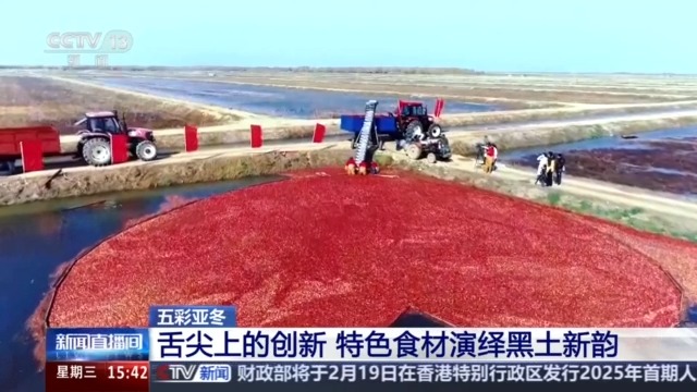 九游体育网站：黑土地、黑科技、黑色资源一起了解亚冬会里的黑色密码(图4)