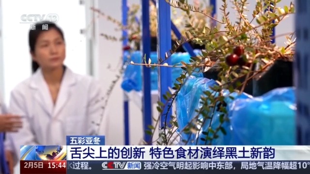 九游体育网站：黑土地、黑科技、黑色资源一起了解亚冬会里的黑色密码(图6)