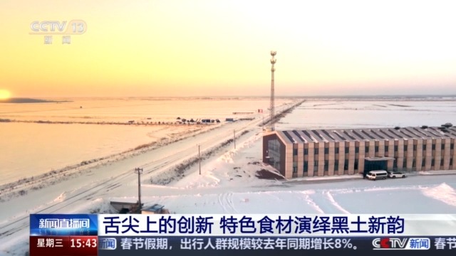 九游体育网站：黑土地、黑科技、黑色资源一起了解亚冬会里的黑色密码(图5)