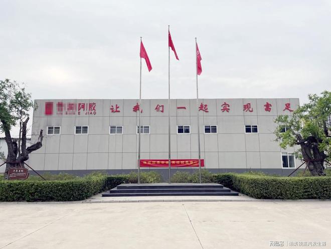 九游体育：案例分享节能降耗助力企业绿色发展(图2)