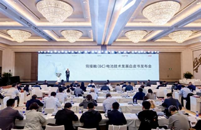 《背接触（BC）电池技术发展白皮书》在京发布(图1)