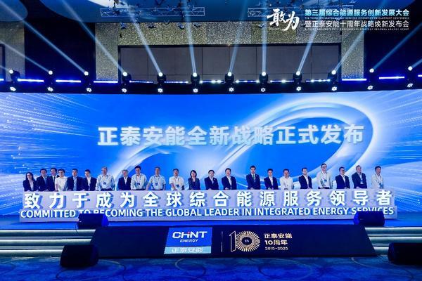 九游体育网站：敢为第三届综合能源服务创新发展大会在沪举办(图7)