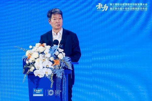 九游体育网站：敢为第三届综合能源服务创新发展大会在沪举办(图3)