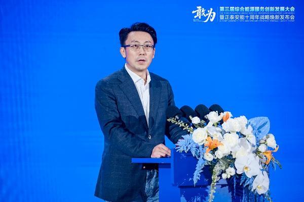 九游体育网站：敢为第三届综合能源服务创新发展大会在沪举办(图5)
