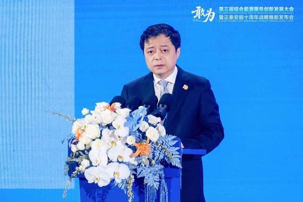 九游体育网站：敢为第三届综合能源服务创新发展大会在沪举办(图2)