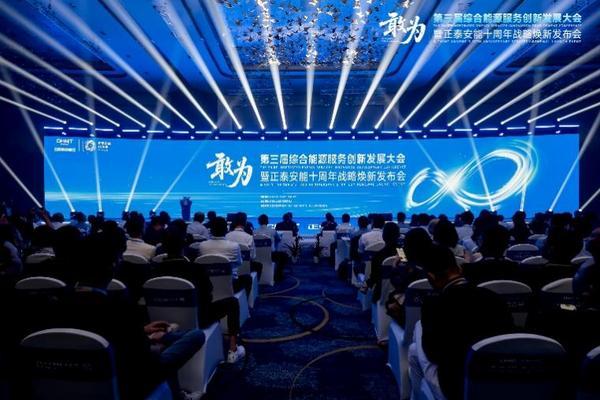 九游体育网站：敢为第三届综合能源服务创新发展大会在沪举办(图1)