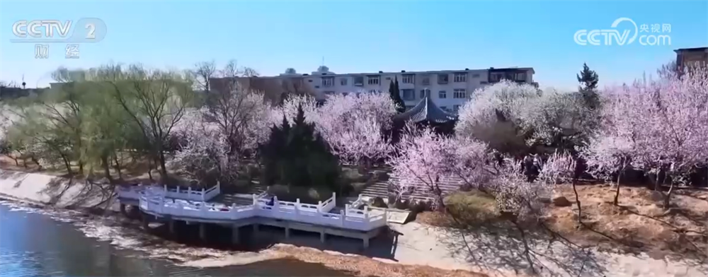 各地催热“赏花经济”新业态绿色发展路径“以花兴业”焕发蓬勃生机(图7)