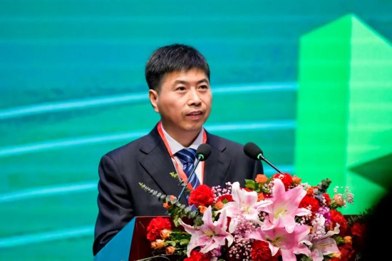 九游体育：第十八届中国高校电力电子与电力传动学术年会在东北大学举办(图4)