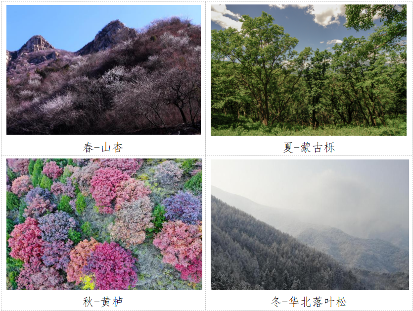 首次！《北京的生物多样性保护》白皮书发布(图2)