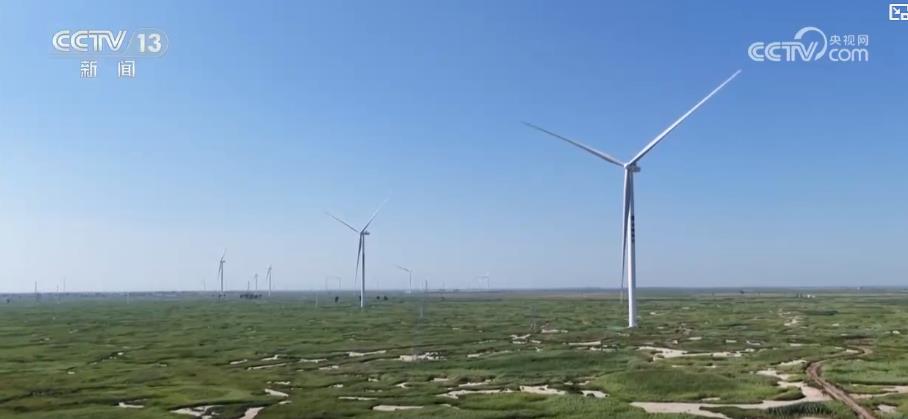九游体育：我国绿色能源重大突破：全球最大单体绿氨装置投产四项世界之最创新技术亮相(图2)