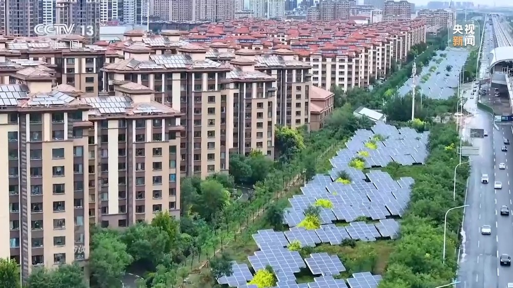 焦点访谈丨从理念到行动中国的生态实践为世界提供绿色转型样本(图5)