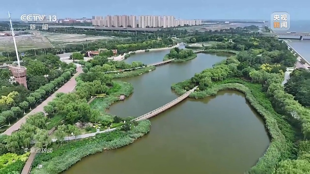 焦点访谈丨从理念到行动中国的生态实践为世界提供绿色转型样本(图4)