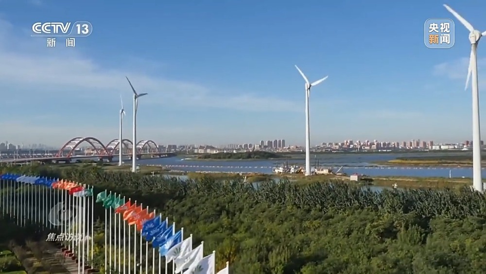 焦点访谈丨从理念到行动中国的生态实践为世界提供绿色转型样本(图8)