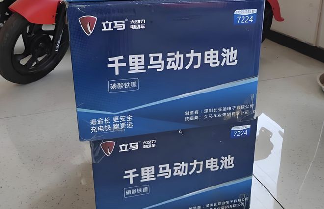 普通两轮电动车能装比亚迪电池吗？要什么条件？已量产车型有哪些(图2)